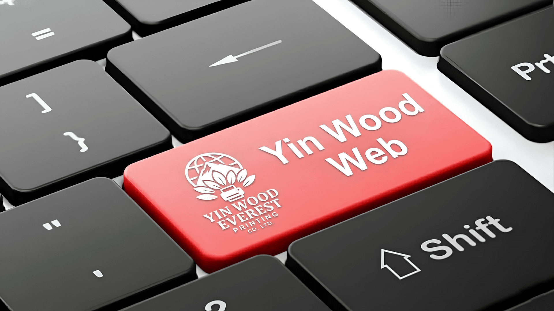 Yin Wood Webs team and workspace